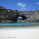 ［6］夏休みの予定