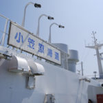 ［6］南の島 by 小笠原