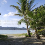 ［6］小笠原　～海編～