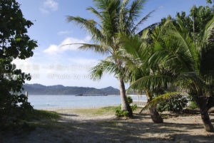 ［6］小笠原　～海編～