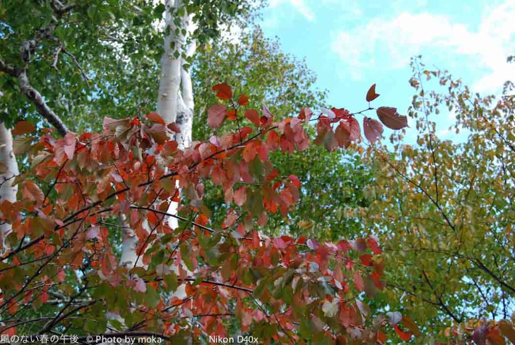 ［6］小樽 ～天狗山展望台～