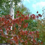 ［6］小樽 ～天狗山展望台～