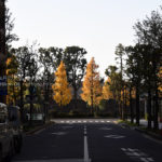 ［６］紅葉候補地！