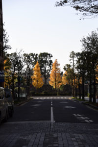 ［６］紅葉候補地！