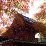 [6]高尾山 or 箱根 ！？