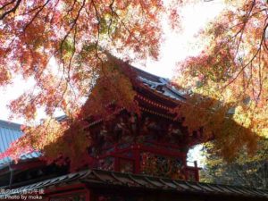 [6]高尾山 or 箱根 ！？