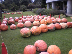 ［6］夢の島熱帯植物園