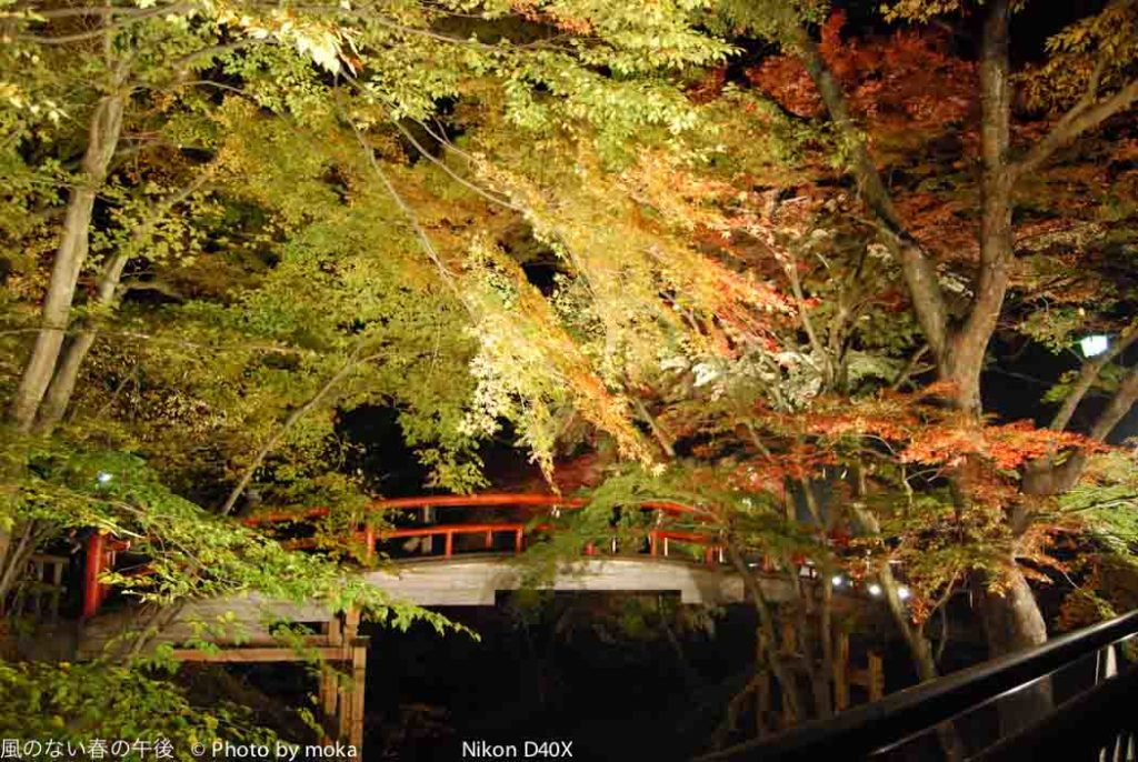 ［6］榛名ー伊香保ー水上 温泉ドライブ