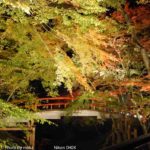 ［6］榛名ー伊香保ー水上 温泉ドライブ