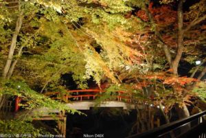 ［6］榛名ー伊香保ー水上 温泉ドライブ