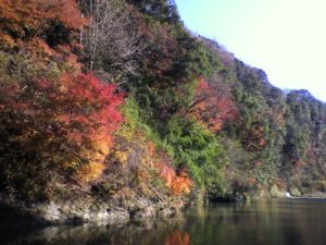 ［6］養老渓谷 ＆ 温泉
