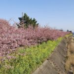 ［6］2月の伊豆