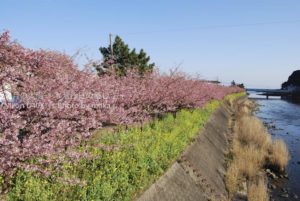 ［6］2月の伊豆