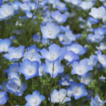 ［6］ひたちなかドライブ