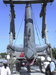 ［6］過去の携帯写真