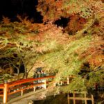 ［6］紅葉のシーズン