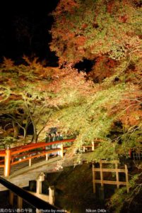 ［6］紅葉のシーズン