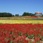 ［6］知床の大自然に触れる 〜Part4〜