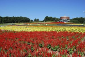 ［6］知床の大自然に触れる 〜Part4〜