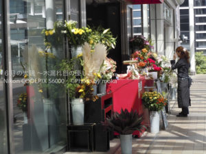 ［6］都会の花屋さん