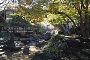 ［6］音無親水公園