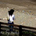 ［6］ひたちなか～大洗をドライブ