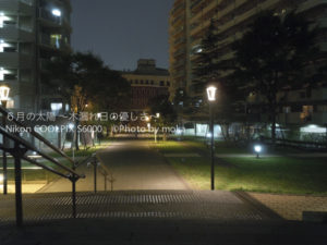 ［6］家へ続く一本道