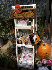 ［6］駅までの道