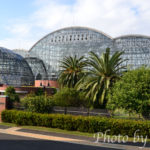 ［6］夢の島公園