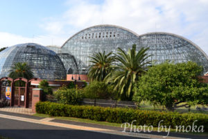 ［6］夢の島公園