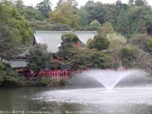 ［6］井の頭公園へ