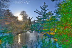 ［6］冬の公園 HDR編