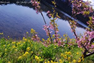 ［６］春の足音