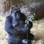 ［6］日曜日の午後