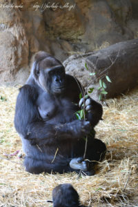 ［6］日曜日の午後