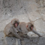 ［6］兄弟かな！？