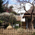 ［6］懐かしき風景