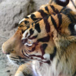 ［6］上野動物園