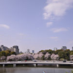 ［6］風のない春の午後 −2011年・春−