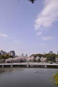 ［6］風のない春の午後 −2011年・春−