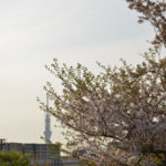 ［6］地元の公園