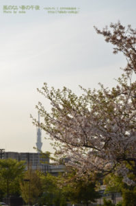 ［6］地元の公園