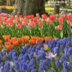 ［6］休日のプラン