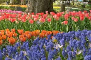 ［6］休日のプラン