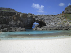 ［6］今年の夏は！？