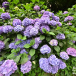 ［6］超広角レンズで、、