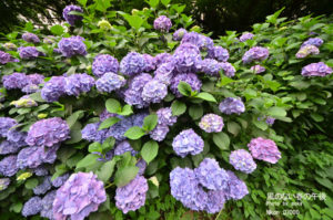 ［6］超広角レンズで、、