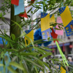 ［6］レンズの試し撮り♪ 【AF-S DX NIKKOR 35mm f/1.8G】