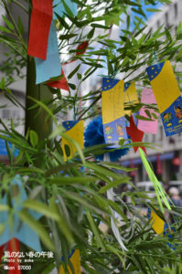 ［6］レンズの試し撮り♪ 【AF-S DX NIKKOR 35mm f/1.8G】