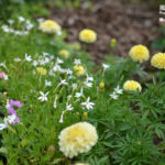 ［6］レンズの試し取り2！！